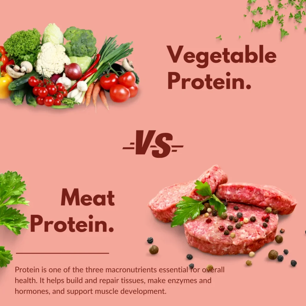 Wellhealthorganic.com Vegetarian Protein Sources A Comprehensive Guide