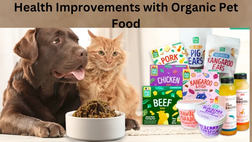 Health Improvements with Organic Pet Food