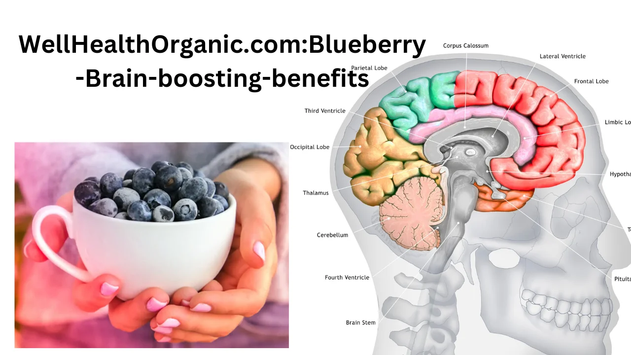 WellHealthOrganic.com:Blueberry-Brain-boosting-benefits