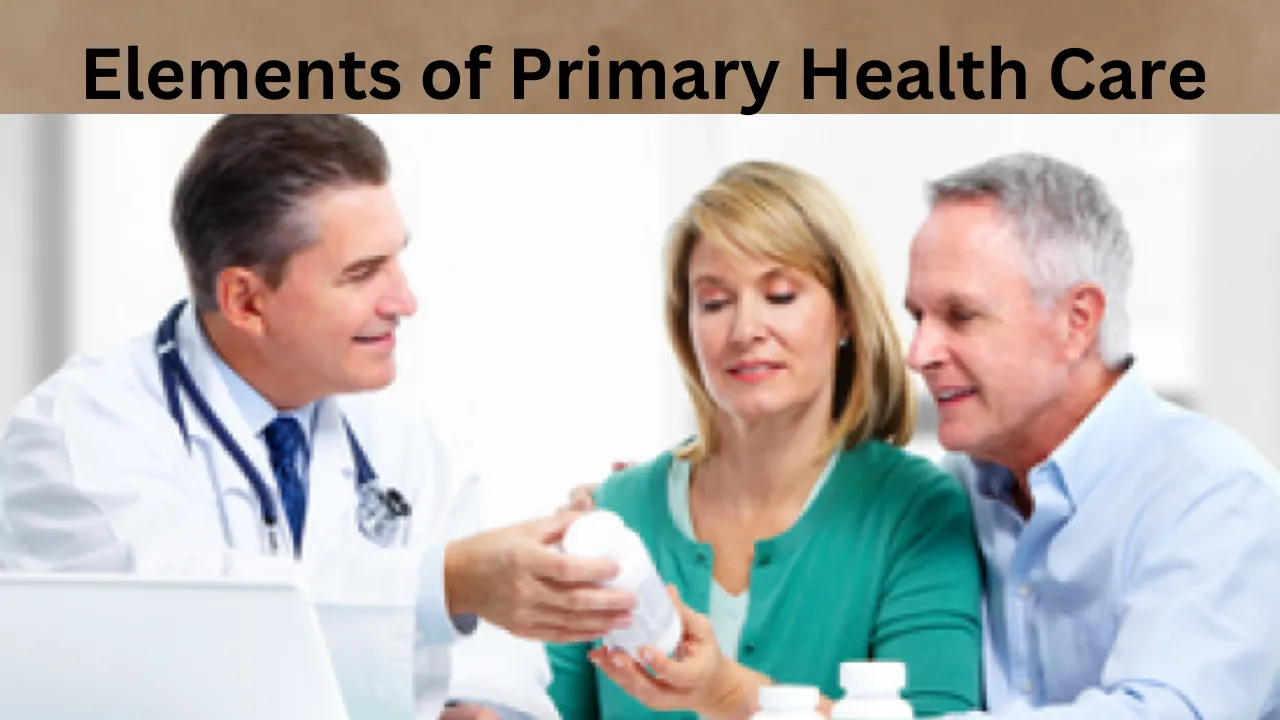 Elements of Primary Health Care